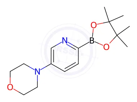 Chemical structure of 5-Morpholinopyridine-2-boronic acid pinacol ester