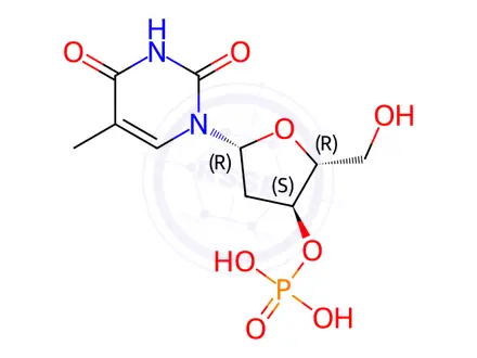 Chemical structure of [(2R,3S,5R)-2-(hydroxymethyl)-5-(5-methyl-2,4-dioxo-pyrimidin-1-yl)tetrahydrofuran-3-yl] dihydrogen phosphate