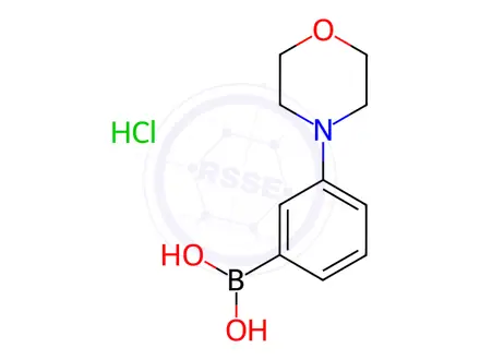 Chemical structure of 3-Morpholinophenylboronic Acid Hydrochloride