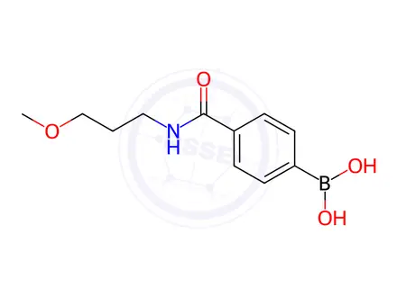 Chemical structure of 4-(3-Methoxypropylcarbamoyl)phenylboronic Acid
