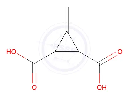 Chemical structure of 3-Methylenecyclopropane-trans-1,2-dicarboxylic Acid