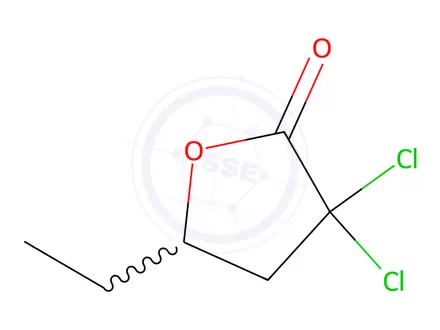Chemical structure of 3,3-dichloro-5-ethyldihydrofuran-2(3H)-one