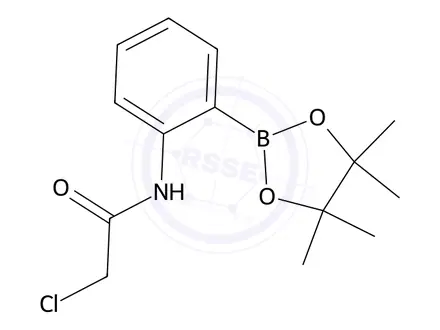 Chemical structure of 2-Chloro-N-(2-(4,4,5,5-tetramethyl-1,3,2-dioxaborolan-2-yl)phenyl)acetamide