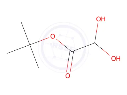 Chemical structure of tert-Butyl 2,2-dihydroxyacetate