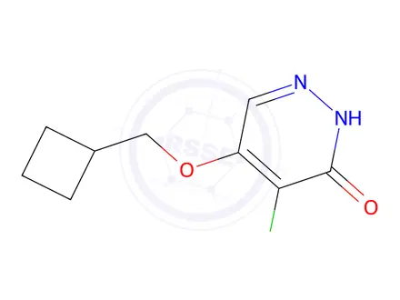 Chemical structure of 4-Chloro-5-(cyclobutylmethoxy)pyridazin-3(2H)-one