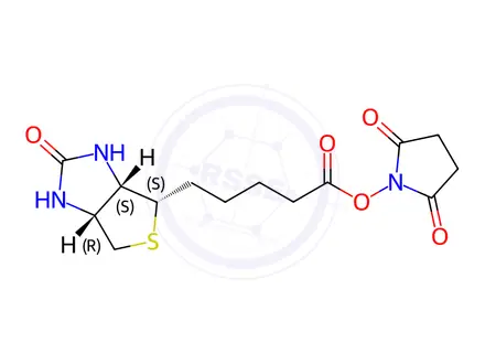 Chemical structure of (+)-Biotin N-hydroxysuccinimide ester