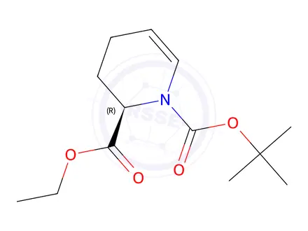 Chemical structure of 1-(tert-Butyl) 2-ethyl (R)-3,4-dihydropyridine-1,2(2H)-dicarboxylate