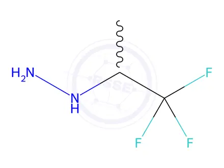 Chemical structure of (1,1,1-Trifluoropropan-2-yl)hydrazine