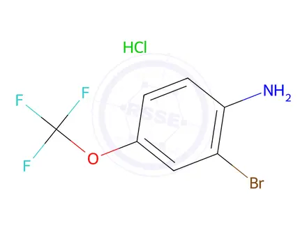 Chemical structure of 2-bromo-4-(trifluoromethoxy)aniline hydrochloride