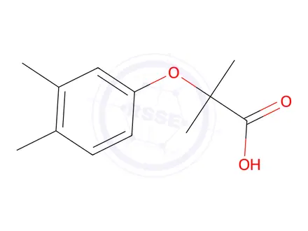 Chemical structure of 2-(3,4-dimethylphenoxy)-2-methylpropanoic Acid