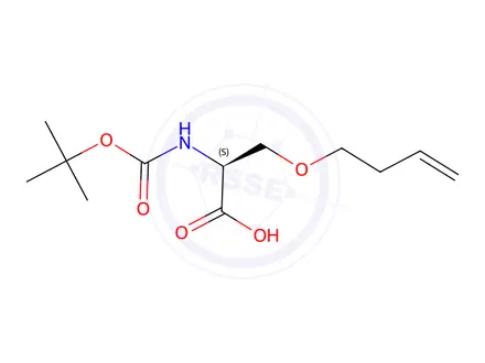 Chemical structure of (S)-3-(But-3-en-1-yloxy)-2-((tert-butoxycarbonyl)aMino)propanoic acid
