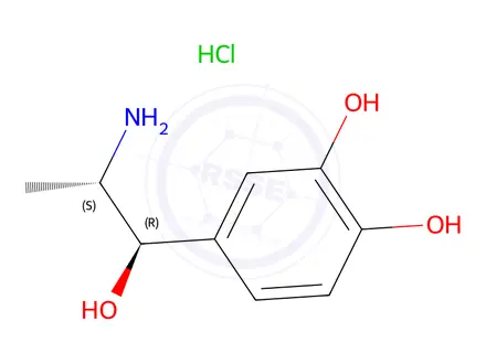 Chemical structure of (R*,S*)-(±)-4-(2-amino-1-hydroxypropyl)pyrocatechol hydrochloride