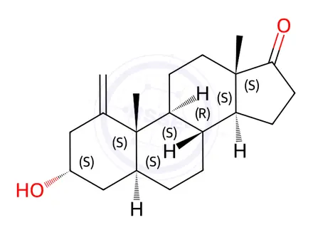 Chemical structure of 1-Methyleneandrosterone