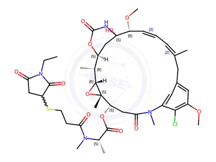 Chemical structure of N2'-Deacetyl-N2'-[3-[(1-ethyl-2,5-dioxo-3-pyrrolidinyl)thio]-1-oxopropyl]-maytansine