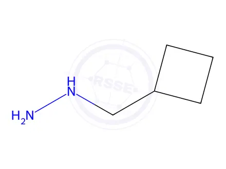 Chemical structure of (cyclobutylmethyl)hydrazine