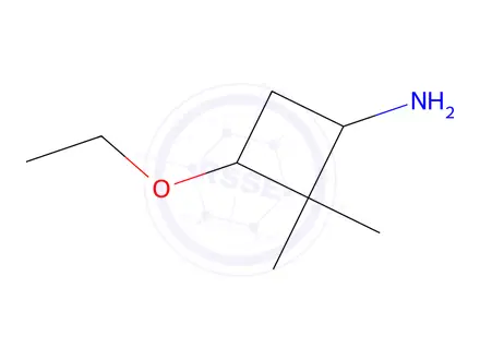 Chemical structure of 3-ethoxy-2,2-dimethylcyclobutan-1-amine