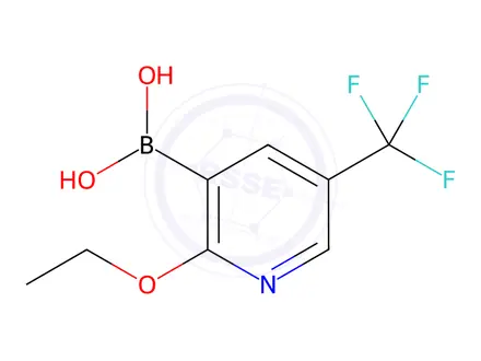 Chemical structure of (2-Ethoxy-5-(trifluoromethyl)pyridin-3-yl)boronic acid