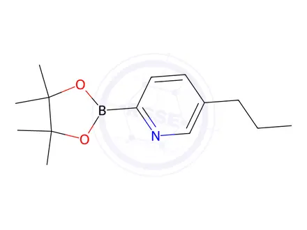 Chemical structure of 5-Propyl-2-(4,4,5,5-tetramethyl-1,3,2-dioxaborolan-2-yl)pyridine