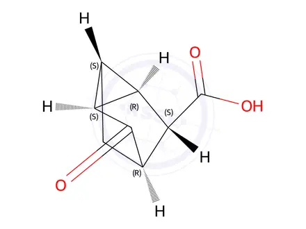 Chemical structure of Tricyclo[2.2.1.02,6]heptane-3-carboxylic acid, 5-oxo-, stereoisomer (9CI)
