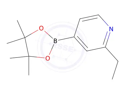 Chemical structure of 2-Ethylpyridine-4-boronic Acid Pinacol Ester