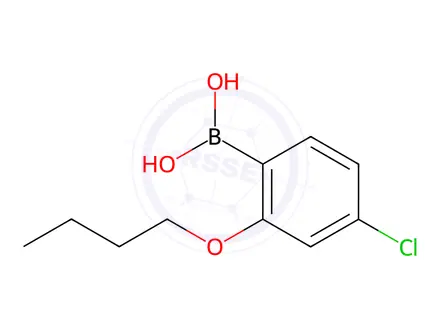 Chemical structure of (2-Butoxy-4-chlorophenyl)boronic acid