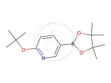 Chemical structure of 2-(Tert-butoxy)-5-(4,4,5,5-tetramethyl-1,3,2-dioxaborolan-2-yl)pyridine