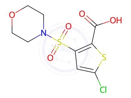 Chemical structure of 5-Chloro-3-(morpholin-4-ylsulfonyl)thiophene-2-carboxylic acid