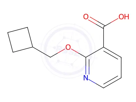 Chemical structure of 2-(Cyclobutylmethoxy)nicotinic acid