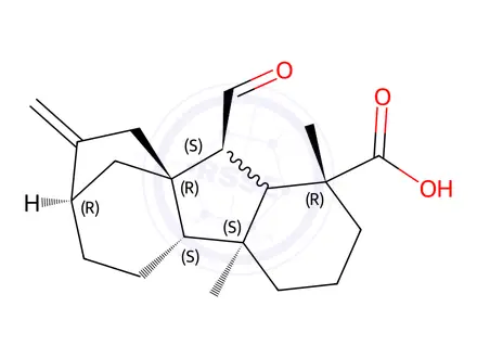 Chemical structure of Gibberellin
