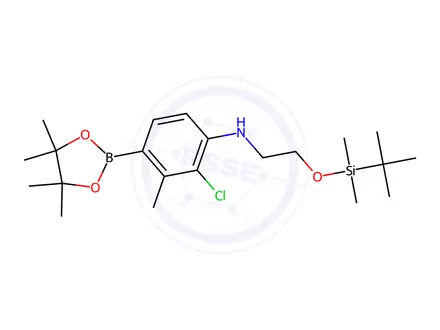 Chemical structure of N-(2-((tert-Butyldimethylsilyl)oxy)ethyl)-2-chloro-3-methyl-4-(4,4,5,5-tetramethyl-1,3,2-dioxaborolan-2-yl)aniline