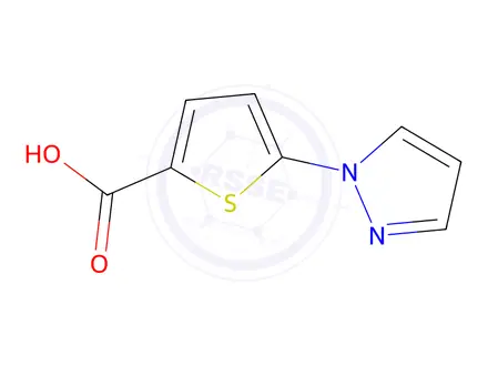 Chemical structure of 5-(1H-pyrazol-1-yl)thiophene-2-carboxylic acid