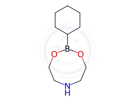 Chemical structure of Cyclohexylboronic acid diethanolamine ester