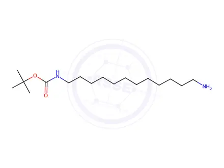 Chemical structure of N-t-Butoxycarbonyl-1,12-diaminododecane hydrochloride