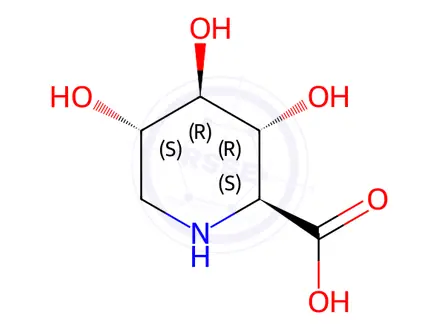 Chemical structure of (2S,3R,4R,5S)-3,4,5-Trihydroxy-2-piperidinecarboxylic Acid
