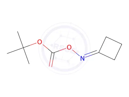 Chemical structure of Cyclobutanone O-(tert-butoxycarbonyl) oxime