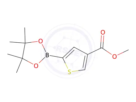 Chemical structure of methyl 5-(4,4,5,5-tetramethyl-1,3,2-dioxaborolan-2-yl)thiophene-3-carboxylate