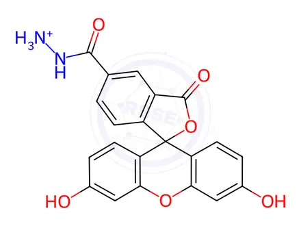 Chemical structure of 5-FAM HYDRAZIDE HCL
