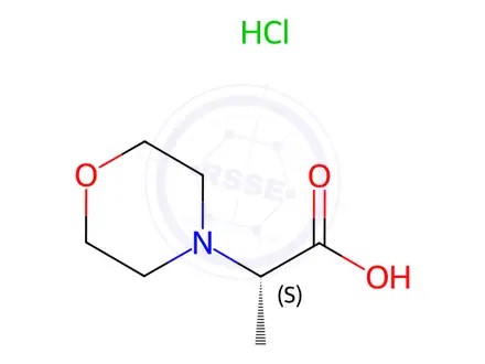 Chemical structure of (S)-2-Morpholin-4-yl-propionic acid hydrochloride