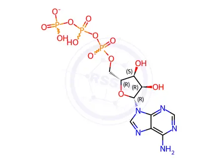 Chemical structure of Adenosine 5'-Triphosphate Disodium Salt Hydrate
