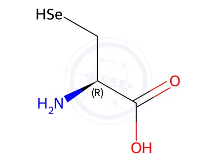 Chemical structure of Seleno-L-cysteine
