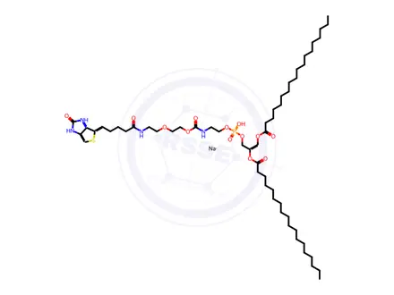 Chemical structure of DSPE-PEG(2000) Biotin