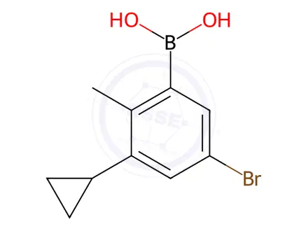 Chemical structure of (5-Bromo-3-cyclopropyl-2-methylphenyl)boronic acid