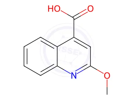 Chemical structure of 2-Methoxyquinoline-4-carboxylic Acid