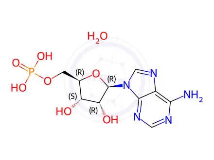 Chemical structure of Adenosine 5'-Monophosphate Monohydrate