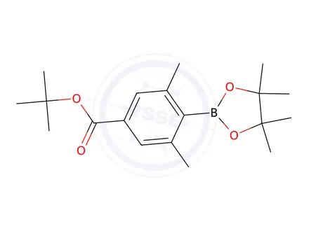 Chemical structure of Tert-butyl 3,5-dimethyl-4-(4,4,5,5-tetramethyl-1,3,2-dioxaborolan-2-yl)benzoate