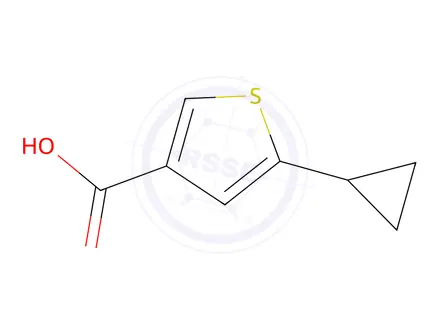 Chemical structure of 5-cyclopropylthiophene-3-carboxylic acid