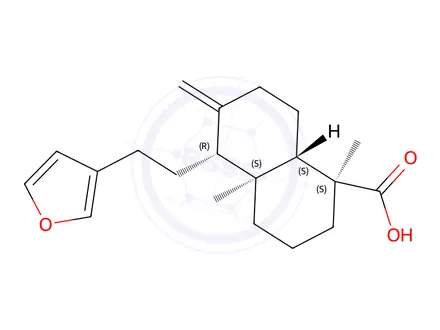 Chemical structure of Polyalthic Acid