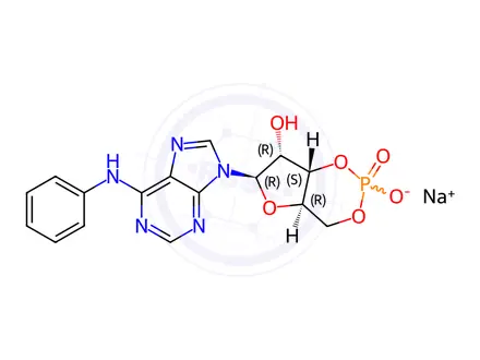 Chemical structure of 6-PHE-CAMP SODIUM SALT