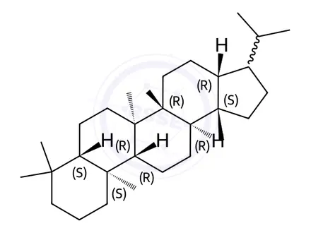 Chemical structure of (17α,21β)-Hopane