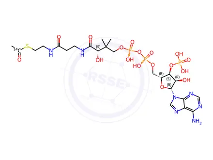 Chemical structure of ACETYL COENZYME A, [ACETYL-1-14C]